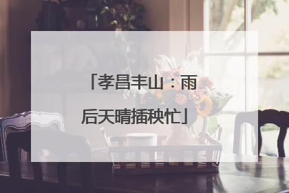 孝昌丰山：雨后天晴插秧忙