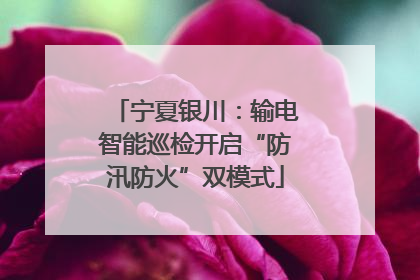 宁夏银川：输电智能巡检开启“防汛防火”双模式