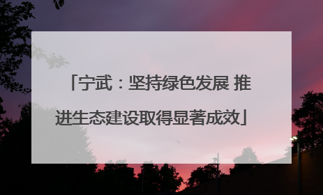 宁武：坚持绿色发展 推进生态建设取得显著成效