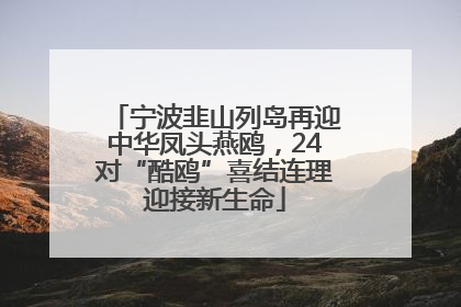 宁波韭山列岛再迎中华凤头燕鸥，24对“酷鸥”喜结连理迎接新生命