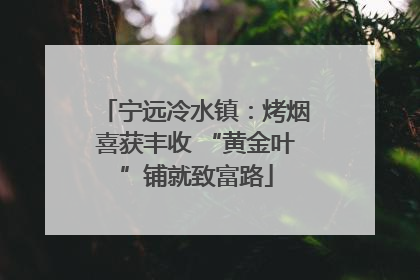 宁远冷水镇：烤烟喜获丰收 “黄金叶”铺就致富路