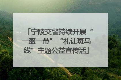宁陵交警持续开展“一盔一带”“礼让斑马线”主题公益宣传活