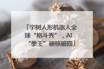 宇树人形机器人全球“格斗秀”，AI“拳王”硬核破圈