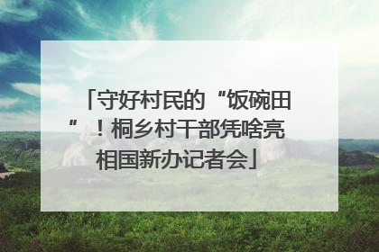 守好村民的“饭碗田”！桐乡村干部凭啥亮相国新办记者会