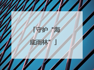 守护“海底雨林”