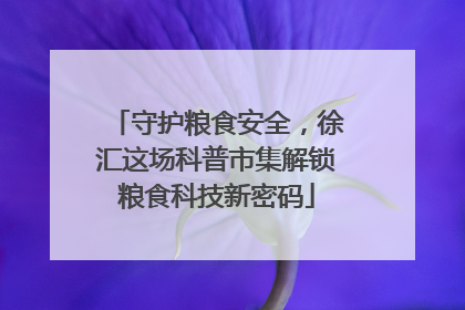 守护粮食安全，徐汇这场科普市集解锁粮食科技新密码