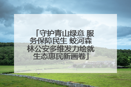 守护青山绿意 服务保障民生 蛟河森林公安多维发力绘就生态惠民新画卷