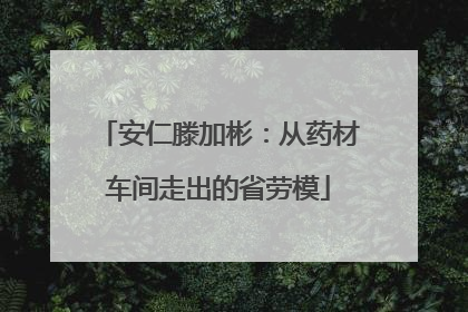 安仁滕加彬：从药材车间走出的省劳模