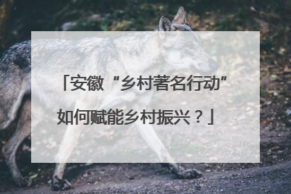 安徽“乡村著名行动”如何赋能乡村振兴？