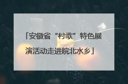 安徽省“村歌”特色展演活动走进皖北水乡