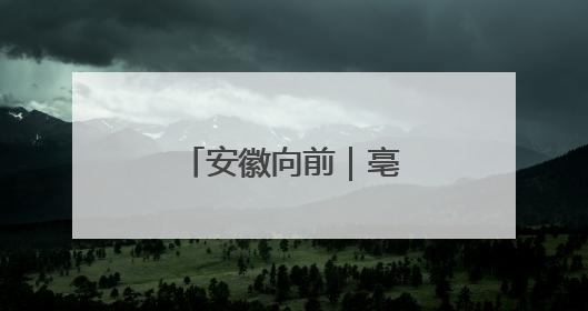 安徽向前｜亳州涡阳：绿色食品有“引”力