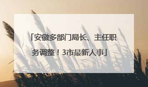 安徽多部门局长、主任职务调整！3市最新人事
