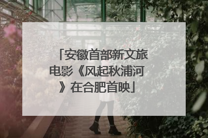 安徽首部新文旅电影《风起秋浦河》在合肥首映