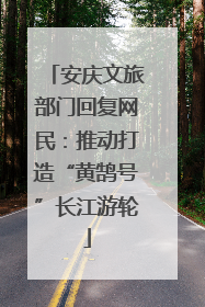 安庆文旅部门回复网民：推动打造“黄鹄号”长江游轮