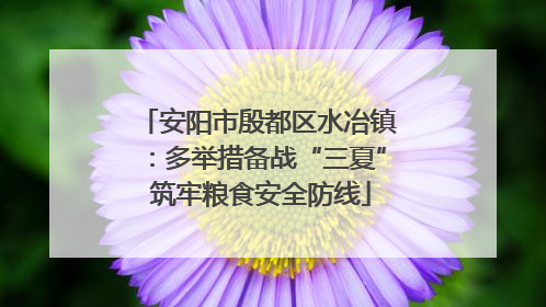 安阳市殷都区水冶镇：多举措备战“三夏” 筑牢粮食安全防线