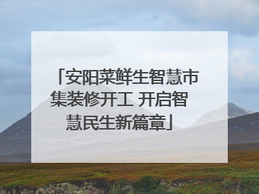 安阳菜鲜生智慧市集装修开工 开启智慧民生新篇章