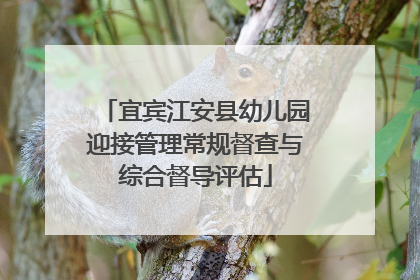 宜宾江安县幼儿园迎接管理常规督查与综合督导评估
