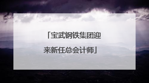 宝武钢铁集团迎来新任总会计师