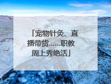 宠物针灸、直播带货……职教周上秀绝活