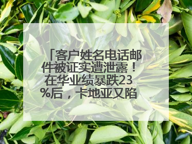 客户姓名电话邮件被证实遭泄露！在华业绩暴跌23%后，卡地亚又陷“信任危机”