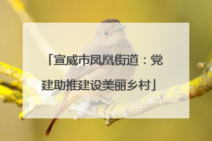宣威市凤凰街道：党建助推建设美丽乡村