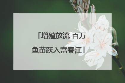 增殖放流 百万鱼苗跃入富春江