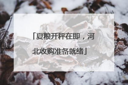 夏粮开秤在即，河北收购准备就绪