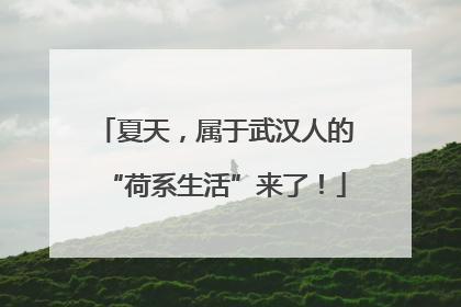 夏天，属于武汉人的“荷系生活”来了！