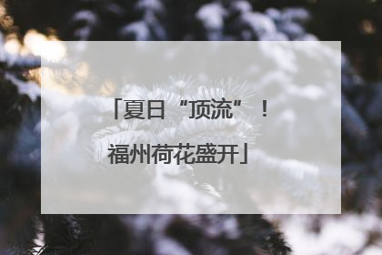 夏日“顶流”！福州荷花盛开