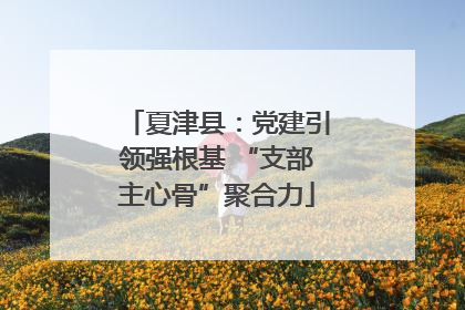 夏津县：党建引领强根基 “支部主心骨”聚合力