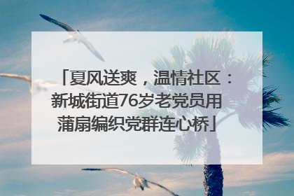 夏风送爽，温情社区：新城街道76岁老党员用蒲扇编织党群连心桥
