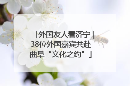 外国友人看济宁｜38位外国嘉宾共赴曲阜“文化之约”