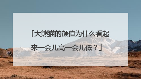 大熊猫的颜值为什么看起来一会儿高一会儿低？