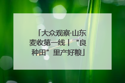 大众观察·山东麦收第一线丨“良种田”里产好粮
