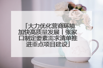 大力优化营商环境 加快高质量发展丨张家口制定要素需求清单推进重点项目建设