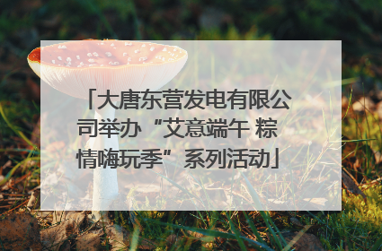 大唐东营发电有限公司举办“艾意端午 粽情嗨玩季”系列活动