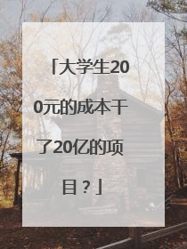 大学生200元的成本干了20亿的项目？