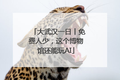 大武汉一日丨免费人少，这个博物馆还能玩AI