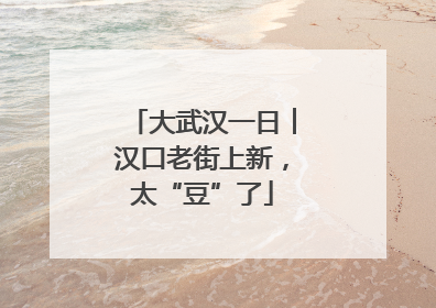 大武汉一日︱汉口老街上新，太“豆”了