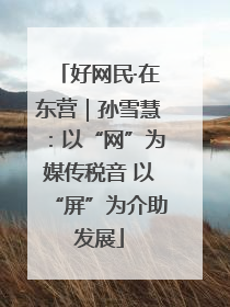 好网民·在东营｜孙雪慧：以“网”为媒传税音 以“屏”为介助发展