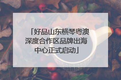 好品山东横琴粤澳深度合作区品牌出海中心正式启动