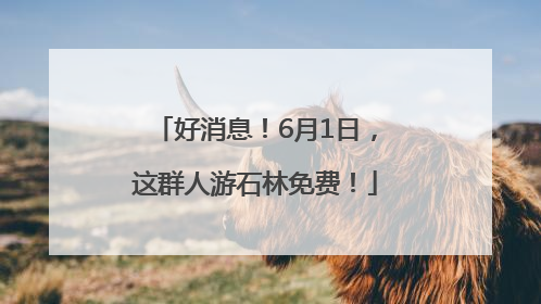 好消息！6月1日，这群人游石林免费！