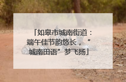 如皋市城南街道：端午佳节韵悠长，“城南田语”梦飞扬