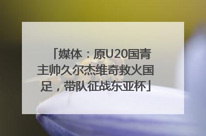 媒体：原U20国青主帅久尔杰维奇救火国足，带队征战东亚杯
