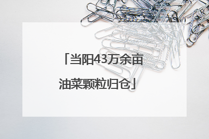 当阳43万余亩油菜颗粒归仓
