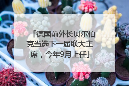 德国前外长贝尔伯克当选下一届联大主席，今年9月上任