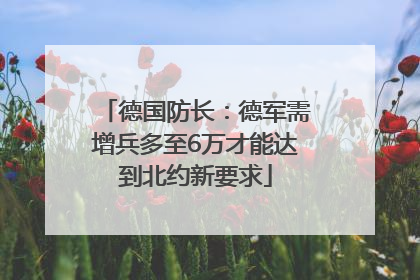 德国防长：德军需增兵多至6万才能达到北约新要求