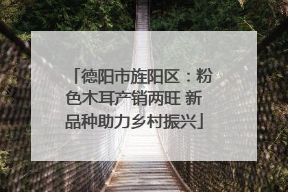德阳市旌阳区：粉色木耳产销两旺 新品种助力乡村振兴