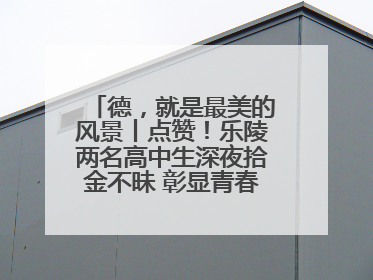 德，就是最美的风景丨点赞！乐陵两名高中生深夜拾金不昧 彰显青春正能量