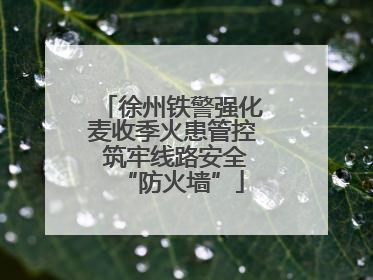 徐州铁警强化麦收季火患管控 筑牢线路安全“防火墙”